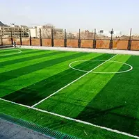 آغاز ساخت ۳۰ زمین چمن مصنوعی در مدارس استان کرمانشاه