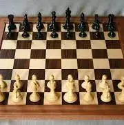 سرمربی تیم نوجوانان شطرنج منصوب شد
