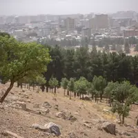 هواشناسی کرمانشاه نسبت به وزش باد و گردوغبار هشدار داد