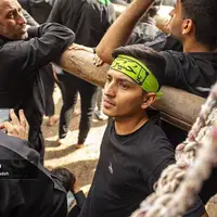 گزارش تصویری از آیین سنتی زیر سایه نخل در یزد
