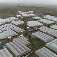 تولید سالیانه ۴۷ هزار تن محصول گلخانه ای در زنجان