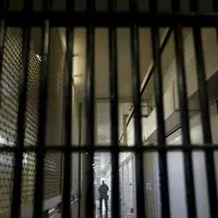 حبس یک قصاب به خاطر کشتار ۳ گوسفند!