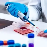 تهیه بانک ژن حیات‌وحش در پلدختر