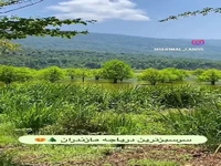 دریاچه زیبای الندان؛ سرسبز ترین دریاچه مازندران 