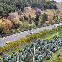 تهران زیبا از فراز پل طبیعت 