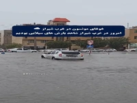 غوغای بارش سیلابی مونسون در شیراز