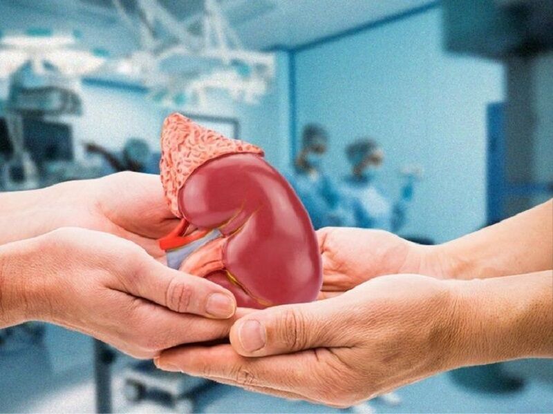 تعداد اهداکنندگان عضو در همدان به 8 نفر رسید