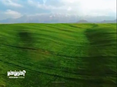 قالی‌کوه زیبا در لرستان