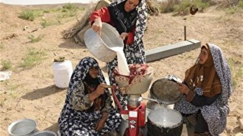 تولید حدود ۵ هزار تن فرآورده‌های دامی در خراسان جنوبی