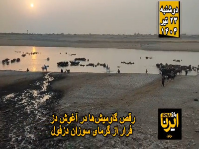 رقص گاومیش‌ها در آغوش دز؛ فرار از گرمای سوزان دزفول
