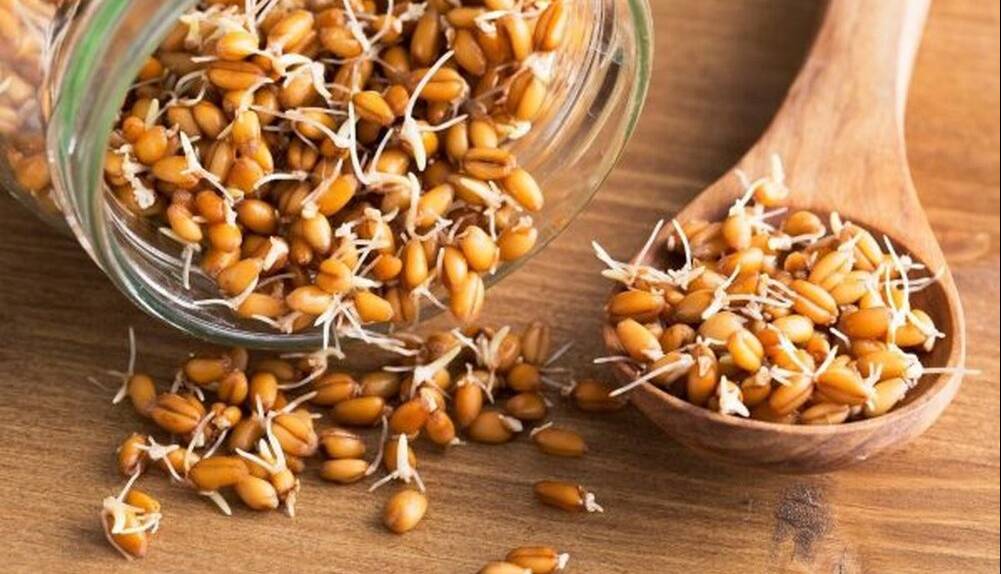 خوراکی که سبب افزایش طول عمر می‌شود