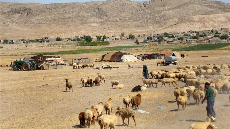 پوشش پایدار آبرسانی برای عشایر خراسان جنوبی؛ ۹۱۰ خانوار زیرچتر خدمات جدید