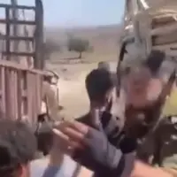 دروزیها شماری از عناصر جولانی را به اسارت گرفتند
