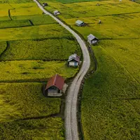 فصل زیبای شالیزارهای مازندران