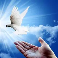 ۱۶۵ زندانی همدانی طعم آزادی را چشیدند