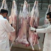 توسعه صنایع تبدیلی ایلام و عرضه گوشت سالم در گرو کشتارگاه صنعتی