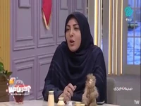 همه زندگی بازی است