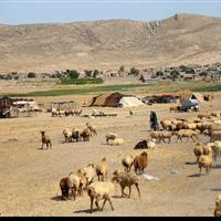 پوشش پایدار آبرسانی برای عشایر خراسان جنوبی؛ ۹۱۰ خانوار زیرچتر خدمات جدید