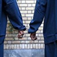دستگیری سارقان مسلح در سمنان