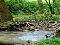 مسیر‌ آبشار‌ اسکلیم در مازندران