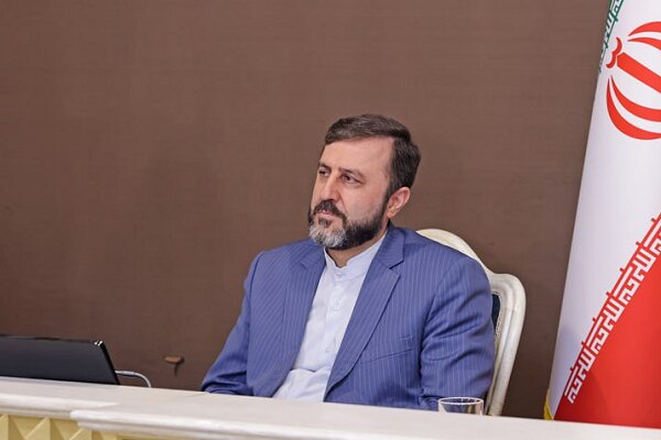 واکنش غریب آبادی به اظهارنظر صدراعظم آلمان درباره فعال شدن اسنپ بک