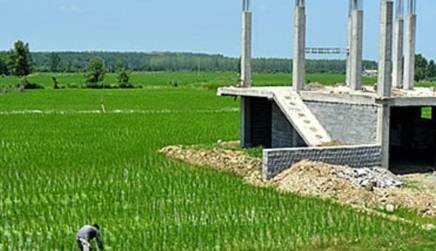 شناسایی ۳۶ هکتار تغییر کاربری غیرمجاز زمینهای کشاورزی و باغی در گیلان