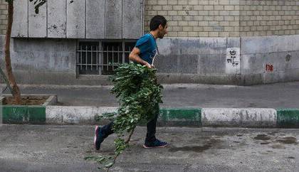 گرما و باد و خاک در تهران