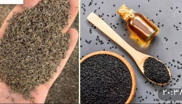 افزایش بهرهوری و صادرات گیاهان دارویی با اصلاح ارقام زیره و سیاهدانه در گلستان