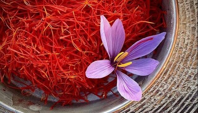 زعفران، ناجی سلول‌های مغزی در بیماران دیابتی