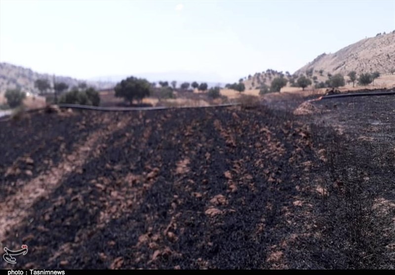 مهار آتشسوزی کوه مُورد باشت پس از 3 روز