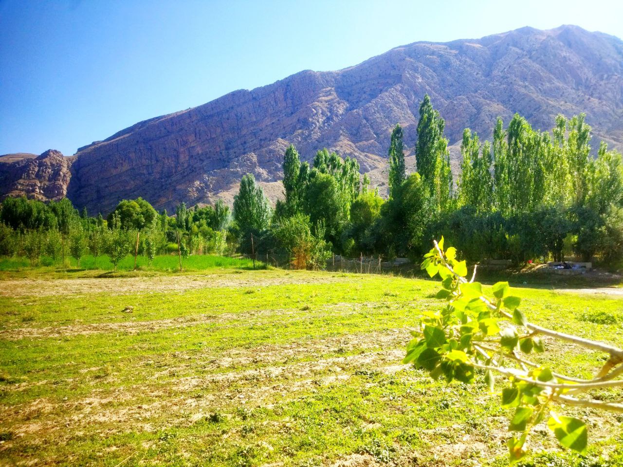 طبیعت زیبای منطقه باجگیران 