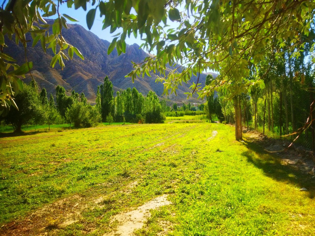 طبیعت زیبای منطقه باجگیران 