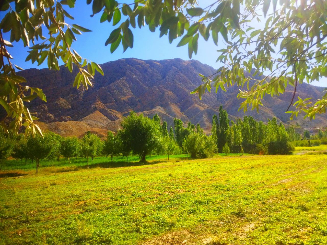 طبیعت زیبای منطقه باجگیران 