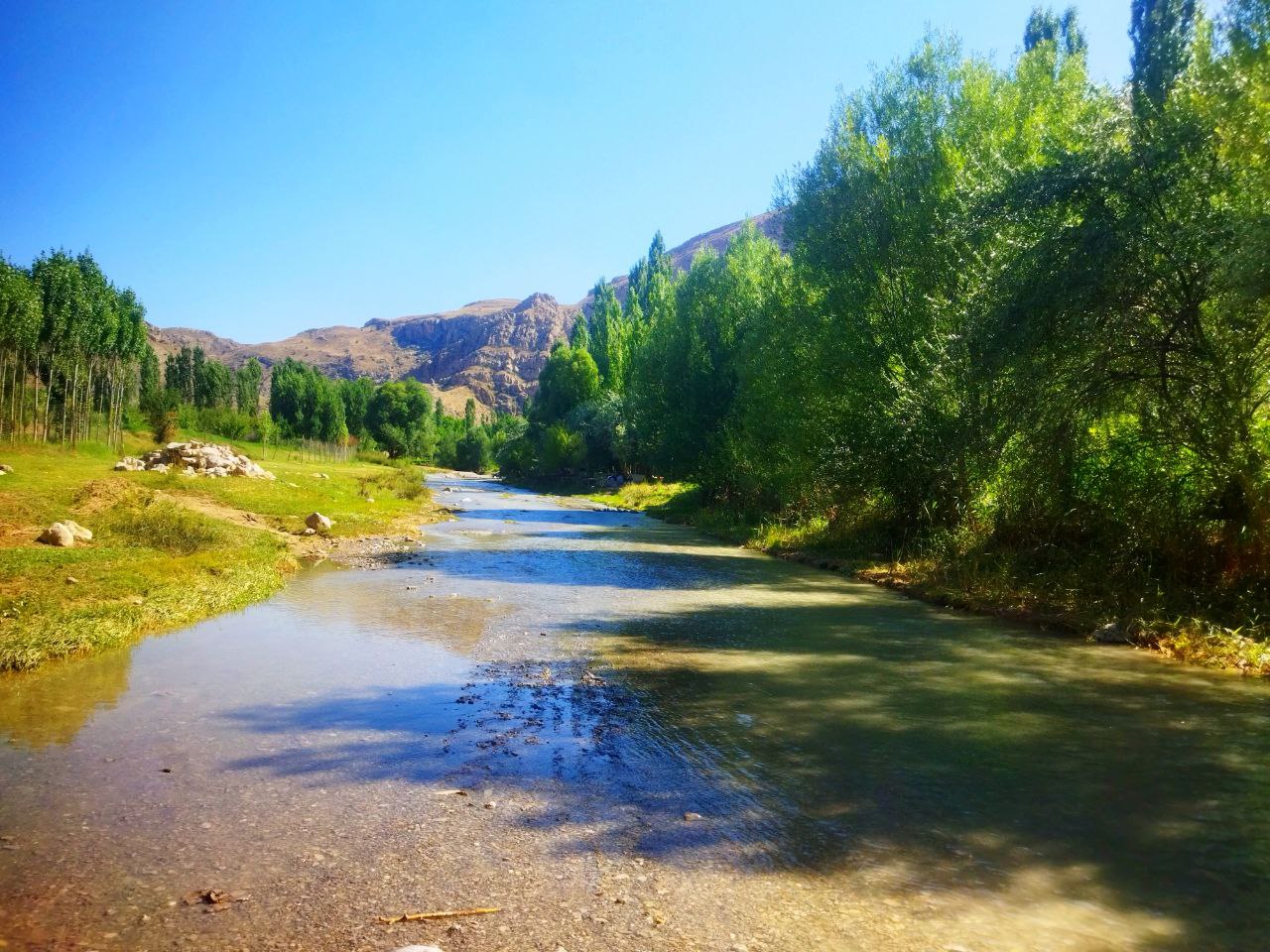 طبیعت زیبای منطقه باجگیران 