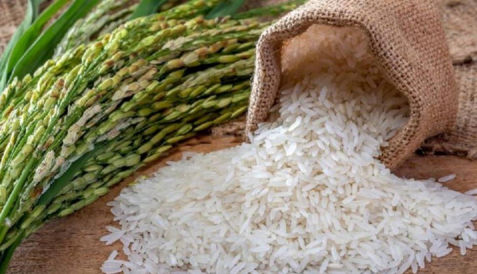 مقابله با نوسانات قیمت برنج در مازندران کلید خورد