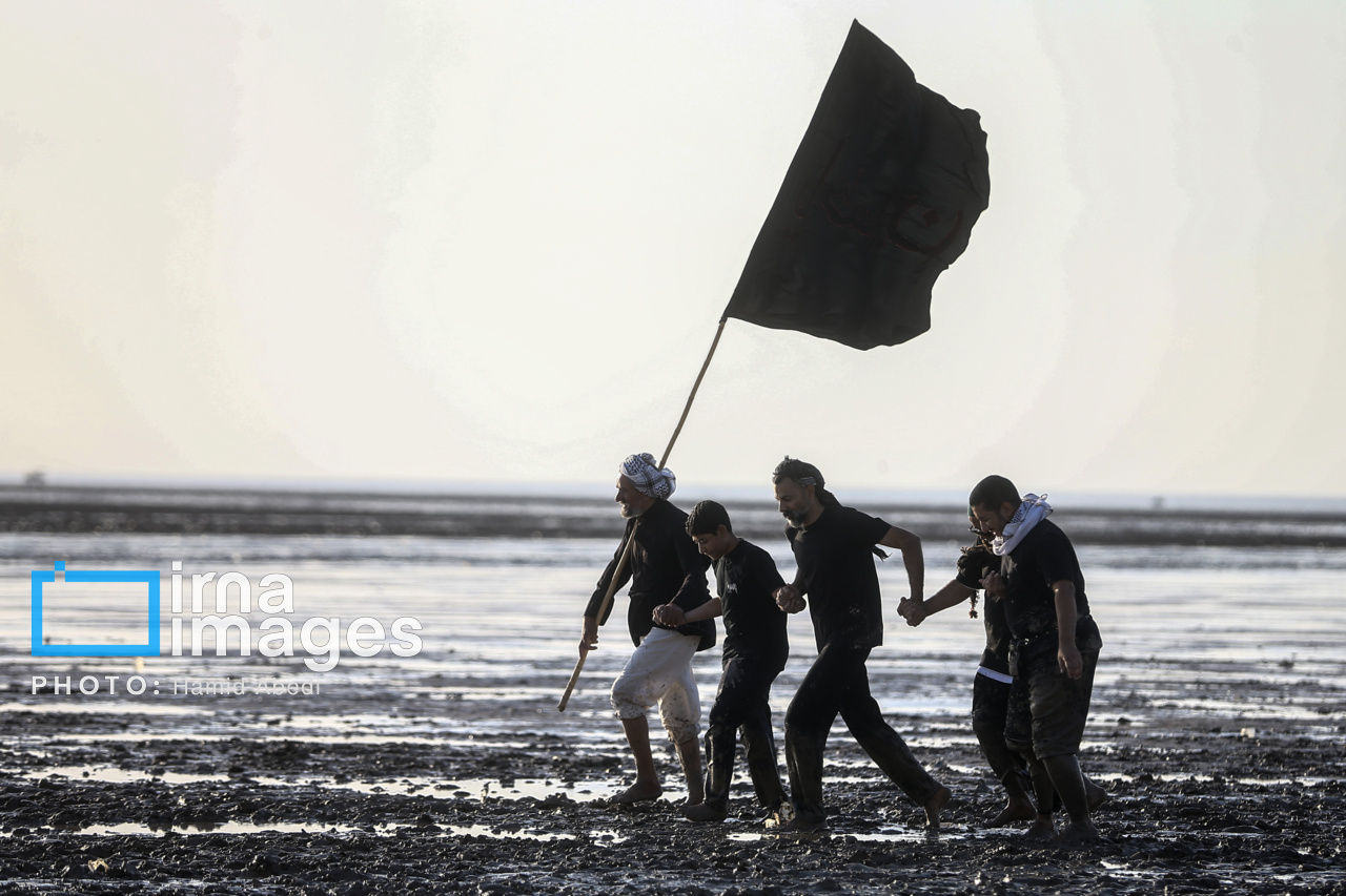 عکس/ پیاده روی اربعین؛ «من البحر الی النحر» 