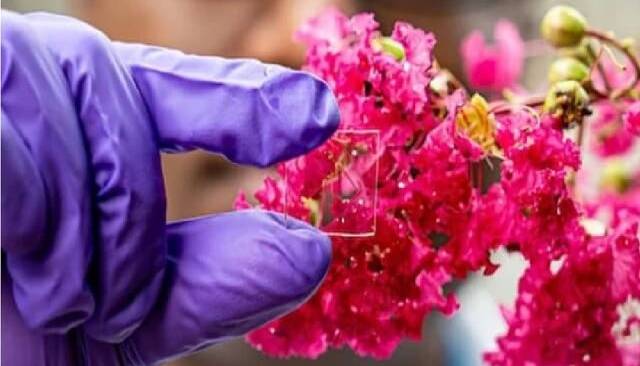 پوشش شیشهای منحصربهفرد برای مقابله با گرما، سرما و اشعه فرابنفش