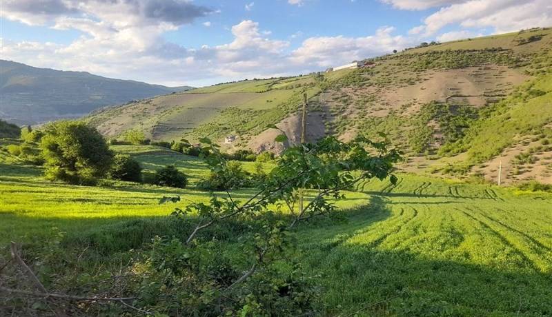 دمای بدن‌محسوس بالای ۴۰ درجه در گیلان؛ هواشناسی هشدار داد