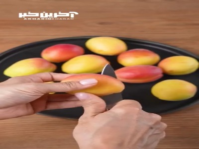 تا فصل زرد آلو تموم نشده کیکش رو درست کن