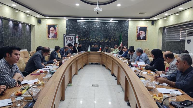 معاون استاندار کردستان: دستگاه‌های اجرایی از سامانه پنجره واحد زمین استفاده کنند