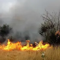 حریق گسترده در اردل مهار شد