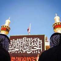 تصاویری از حرم مطهر امیرالمؤمنین(ع) در روز زیارتی ایشان