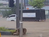 سیلاب و رانش زمین در کره جنوبی جان دست‌کم ۱۴ نفر را گرفت