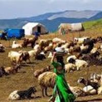 ۷۶ میلیارد ریال اعتبار بحران به آبرسانی عشایر تخصیص یافت