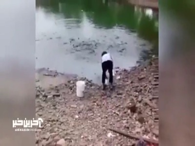 هجوم حیرت آور ماهی ها برای خوردن غذا