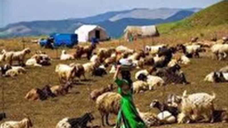 ۷۶ میلیارد ریال اعتبار بحران به آبرسانی عشایر تخصیص یافت