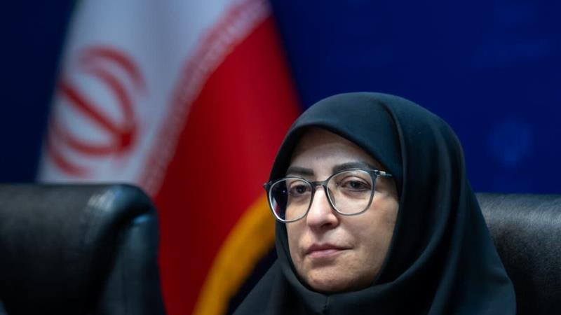 رییس سازمان حفاظت محیطزیست: همه دستگاه ها در موضوع گردو غبار پای کار باشند