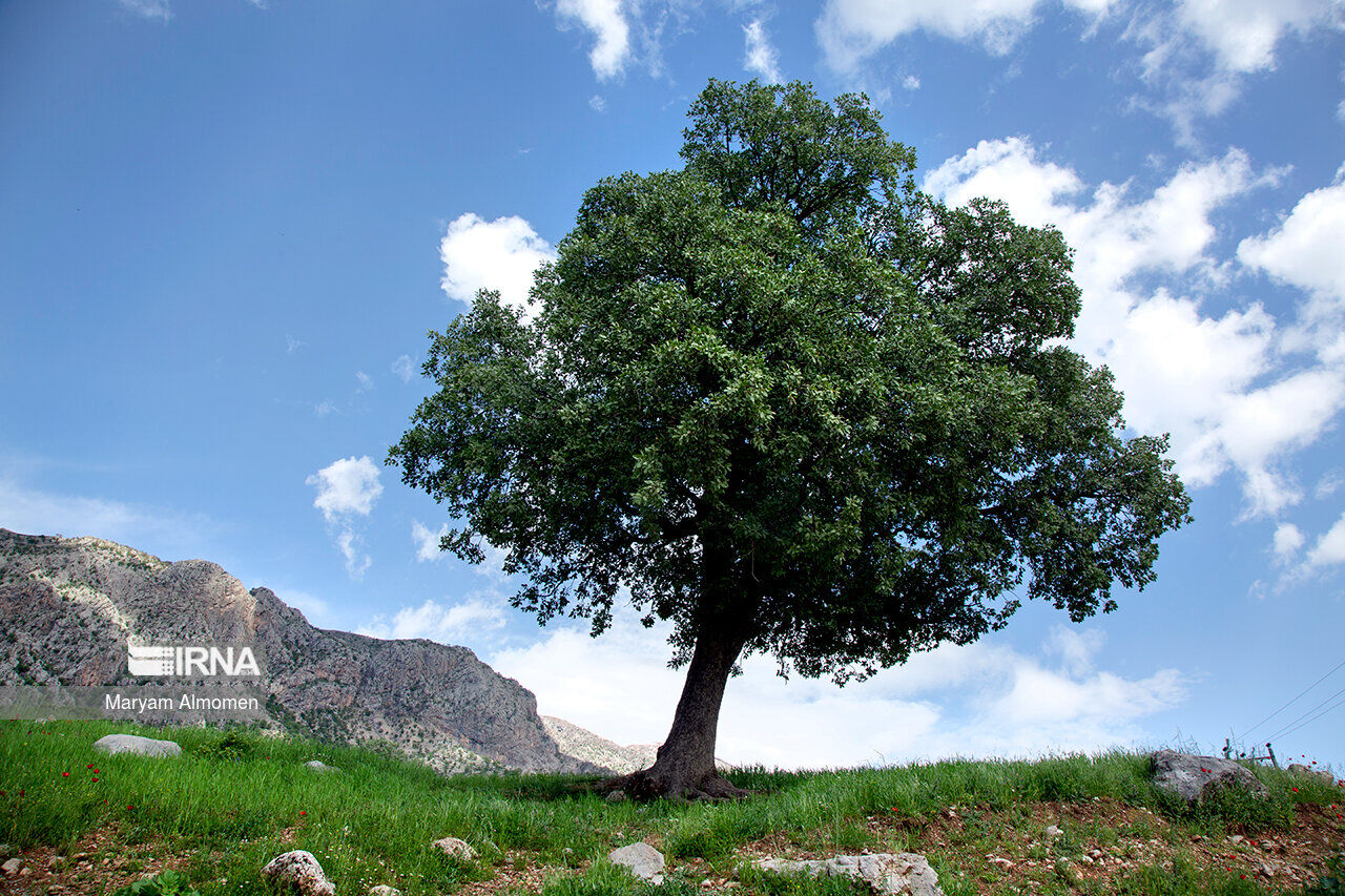 دمای هوا در برخی مناطق چهارمحال و بختیاری به بالای ۴۰ درجه رسید