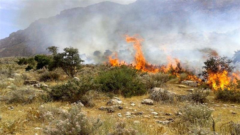 اطفای بخشی از آتش‌سوزی جنگل ابر