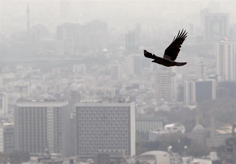 درخواست افزایش دستمزد مشاوران املاک